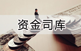 用友大型企业司库治理解决规划