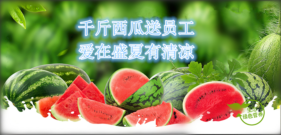 金彩汇软件公司： 千斤西瓜送员工，爱在盛夏有清冷
